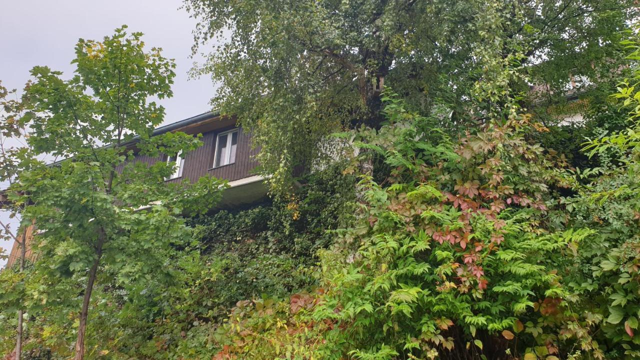 Ferienwohnung Auf Dem Bueckle Kleines Wiesental Exteriér fotografie
